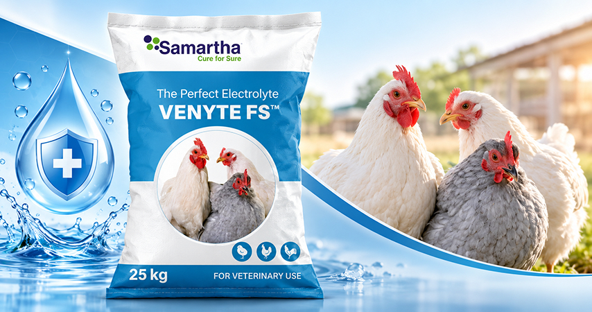 Venyte FS