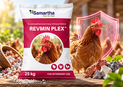 Revmin Plex