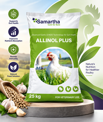 Allinol Plus